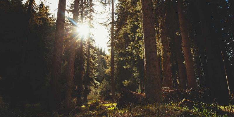 嵌入式系统与物联网（MQTT）如何重塑智慧农业：精准灌溉解决方案深度解析