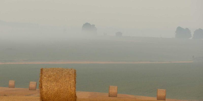 工业物联网设备能耗管理：基于嵌入式系统与MQTT协议的绿色可持续发展策略分析