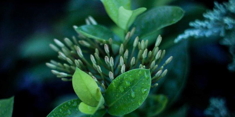 智能家居隐私保护实践：嵌入式系统中的端到端加密如何守护物联网安全