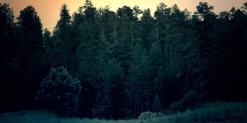 物联网与供应链透明化：RFID与区块链技术如何实现商品全生命周期溯源