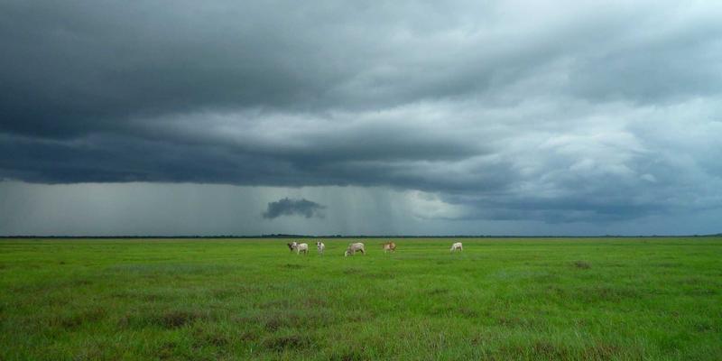 物联网怎么用？从智能家居到万物互联，解锁IoT的实用场景与未来